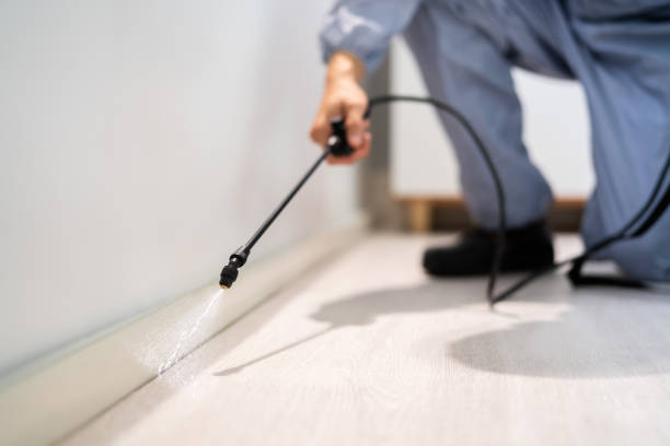 Bed Bug Pre-Treatment Preparation Assessment in Comfort