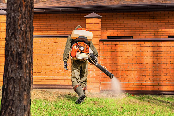 Bed Bug Clearance Verification and Documentation in Comfort